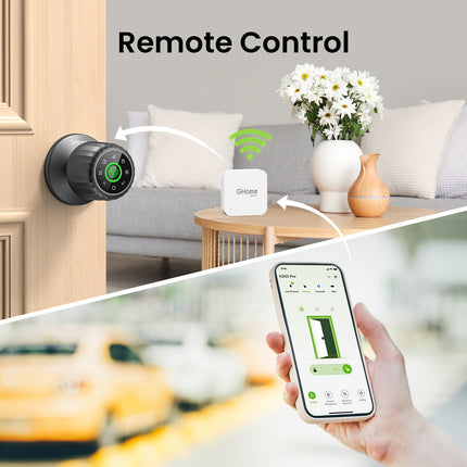 Smart Wifi Gateway GHomeSmart G2