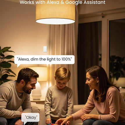 GHome WiFi Alexa & Google Home 3 Way Switch SW17