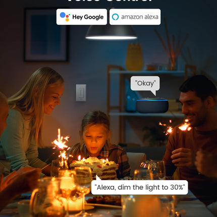 GHome WiFi Alexa & Google Home 3 Way Switch SW17