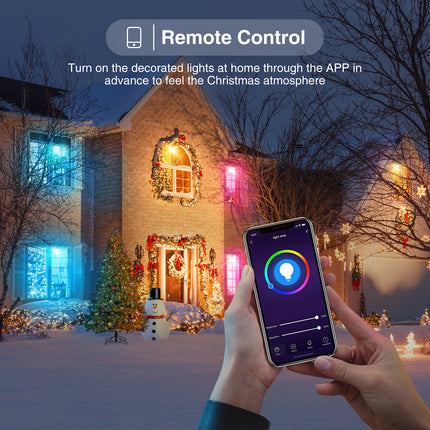 WiFi Smart Led Light Bulb WB4