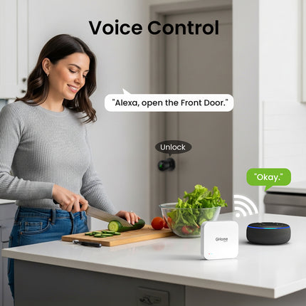 Smart Wifi Gateway GHomeSmart G2
