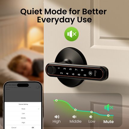 New GHome 4-in-1 Wi-Fi Smart Lever Door Lock KH10