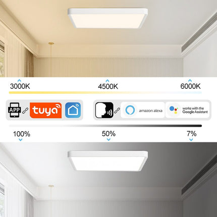 36W Smart Ceiling Lamp - Alexa & Google Home Compatible