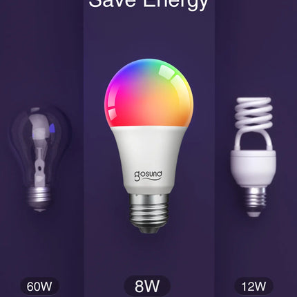 WiFi Smart Led Light Bulb WB4