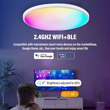 Smart WIFI LED Round Ceiling Light