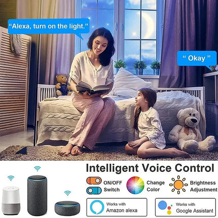 Smart WIFI LED Round Ceiling Light