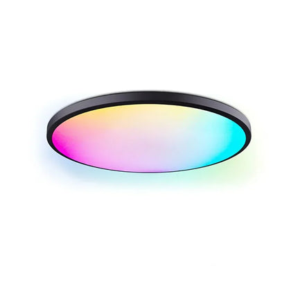 Smart WIFI LED Round Ceiling Light